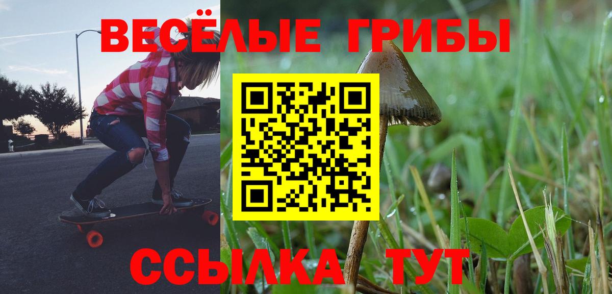 Гагарин  Галлюциногенные грибы ЛСД  Вход с VPN 
